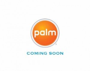 Palm-New-logo