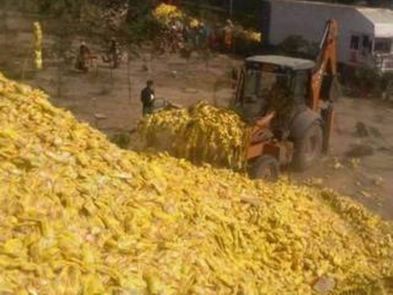 Maggi dump