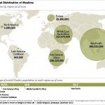 "World Muslim population"