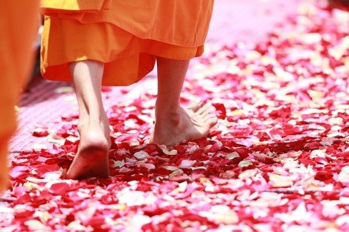 Monk viciously stabs elderly monk inside monastery in California