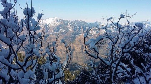 After Gurgaon becomes Gurugram, now VHP wants Shimla renamed Shyamla