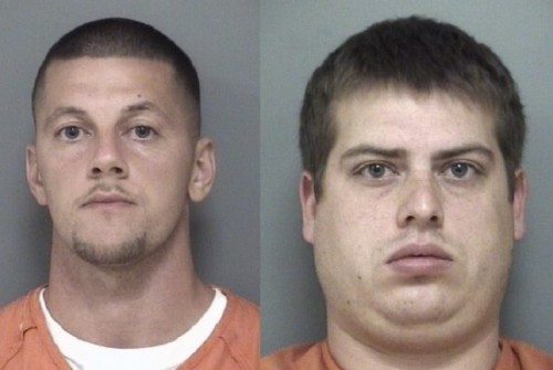 Shaken Baby Syndrome cases in Michigan may be of interest to parents of toddlers