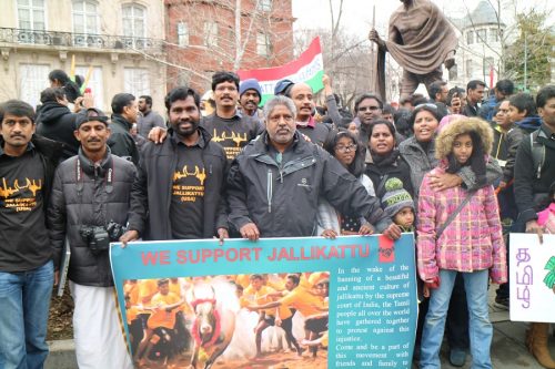 Nearly 900 Tamil Americans protest in Washington against India’s Jallikkatu ban