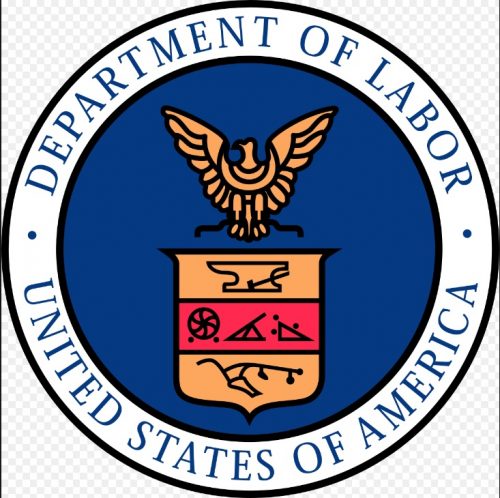 US cracks down on H-1B visa ‘potential abuse’ with 175 investigations