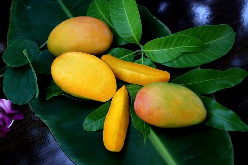 It’s ‘aam’ season again in America, and time for the famed Indian mangoes!