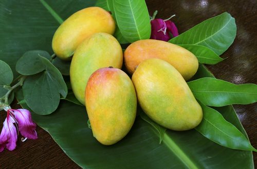 Best places to buy Indian mangoes in America