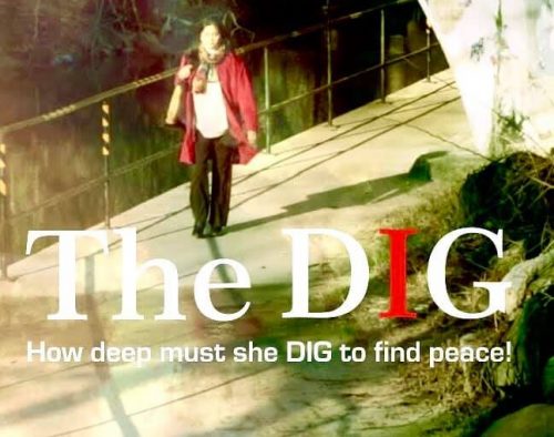 The DIG