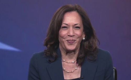 Kamala Harris addressing Indian American Democrats at a virtual event on August 15, 2020.