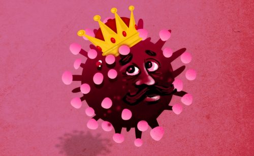 Image credit: Nituparna Rajbongshi/Department of Science and Technology (DST) and Dr. Anamika Ray Memorial Trust