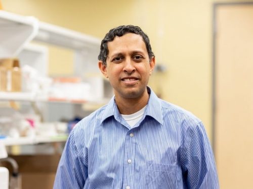 Indian American professor working to improve cancer treatment