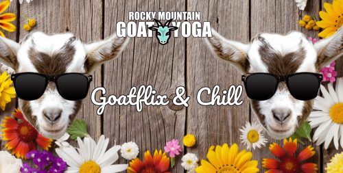 Move over goat yoga, now you can Goatflix