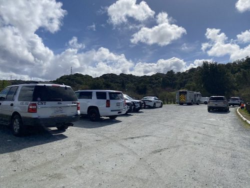 Indian American woman killed by fallen tree in California during Boy Scouts hiking trip