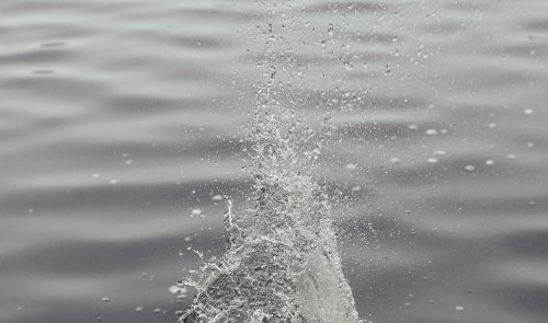 Water droplets