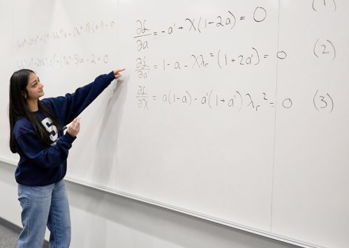 Divya Tyagi refines 100-year-old math problem into elegant form