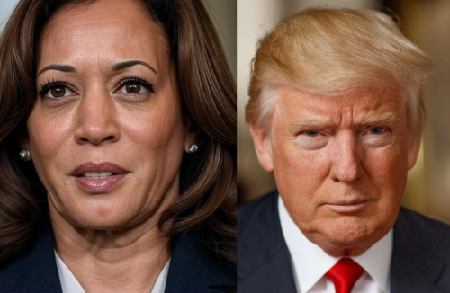Kamala Harris would have lost despite higher turnout: Pew
