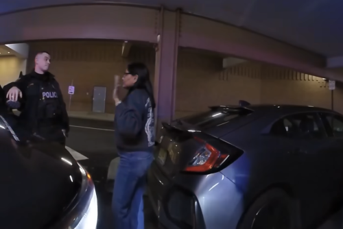 Tesla-driving Indian woman caught shoplifting $2,300 diamond bracelet, designer goods