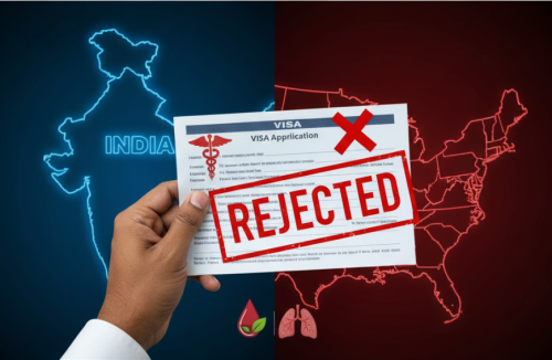 India, China hit hardest as US visa approvals drop in 2025