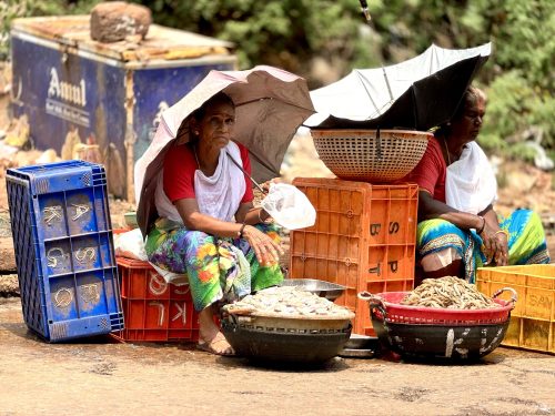 Two women sit beside freshly caught fish at a small market in Kasaragod, Kerala, with no customers visible.