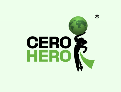 Cero Hero founder Sri Saiteja Annareddy on turning everyday actions into climate impact