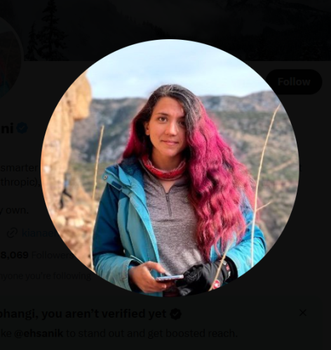 ‘No way to call home’: Iranian American founder says war forced wedding cancellation