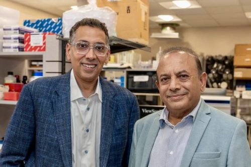 Dinender Singla’s “smart, tiny bubbles” treat cancer and heart disease