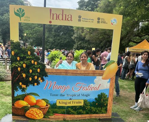 How Indian mangoes won America, but not yet the market Hundreds of people line up at the Embassy of India's mango festival at Dupont Circle in Washington, D.C., on June 27.