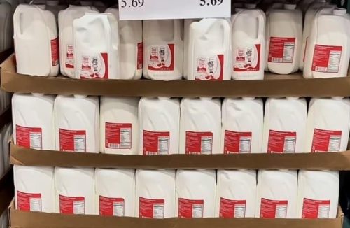 Amul’s Costco milk brings Indian brand, American dairy together Amul Costco milk